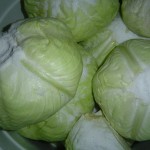 Cabbage Heads Pickling