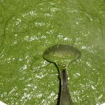 Spinach Pudding